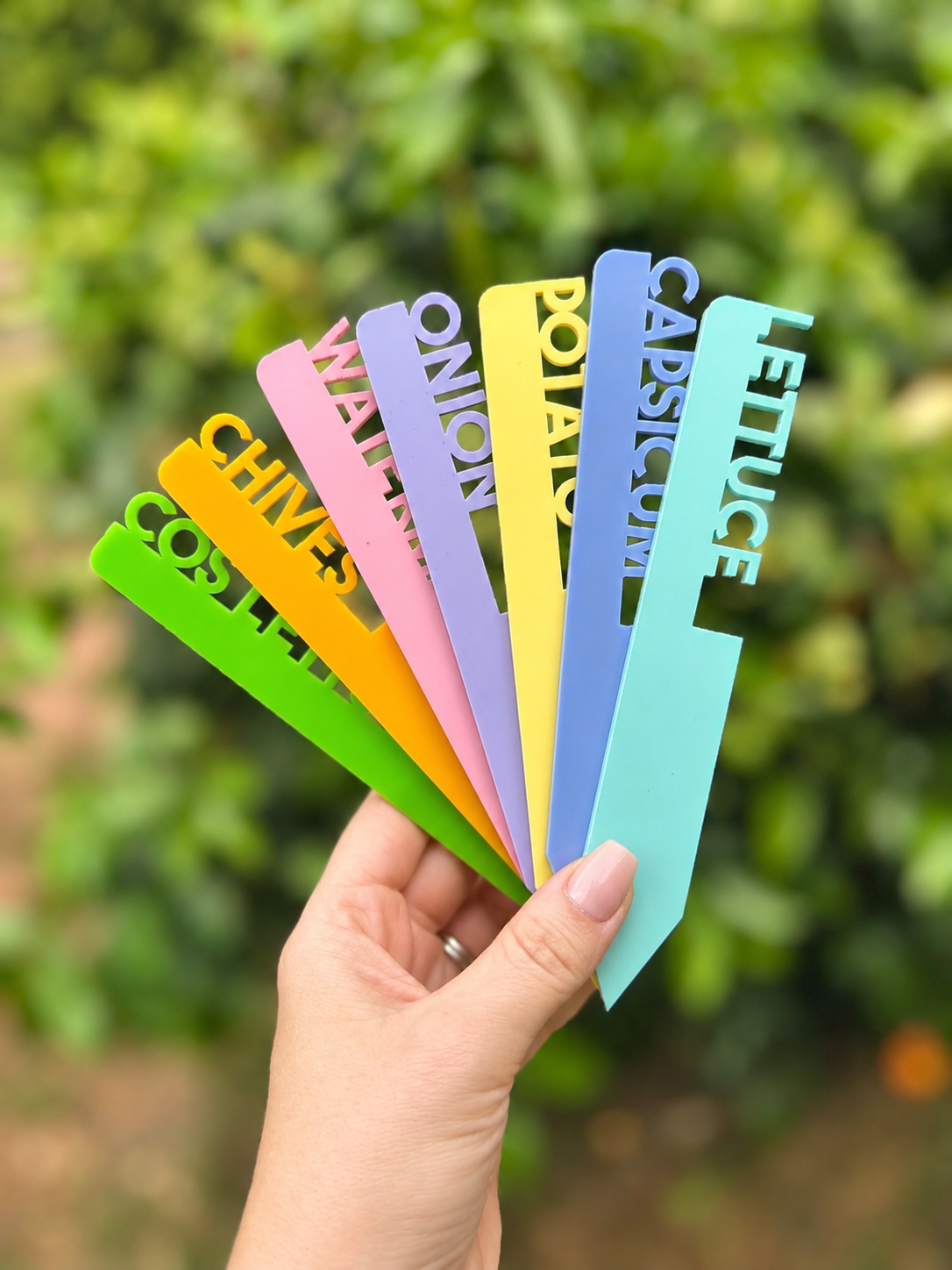 Personalised Acrylic Plant Markers | Custom Garden Stakes for Herbs, Vegetables & Fruit