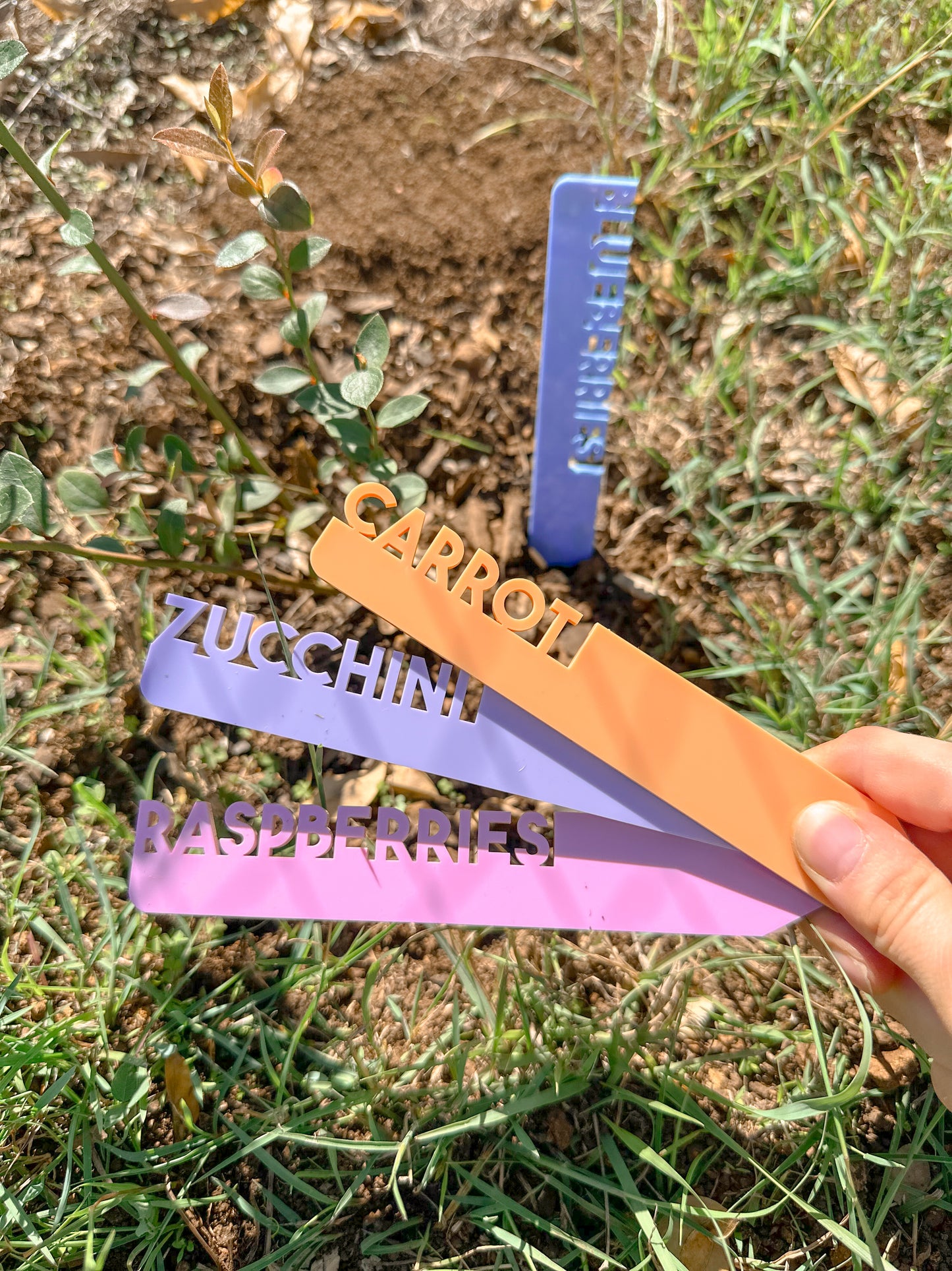 Personalised Acrylic Plant Markers | Custom Garden Stakes for Herbs, Vegetables & Flowers