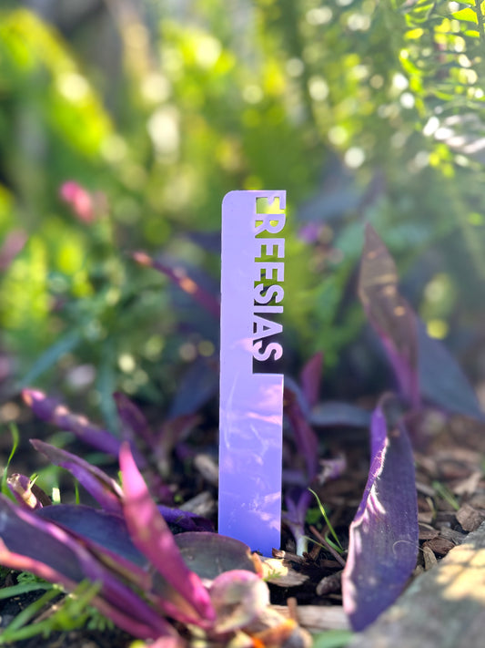 Personalised Flower Markers | Custom Acrylic Plant Labels for Flowers, Bulbs & Garden Beds